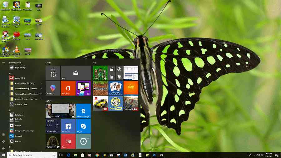 Butterflies