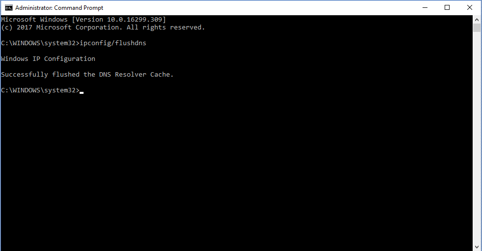 Renew and Flush The DNS