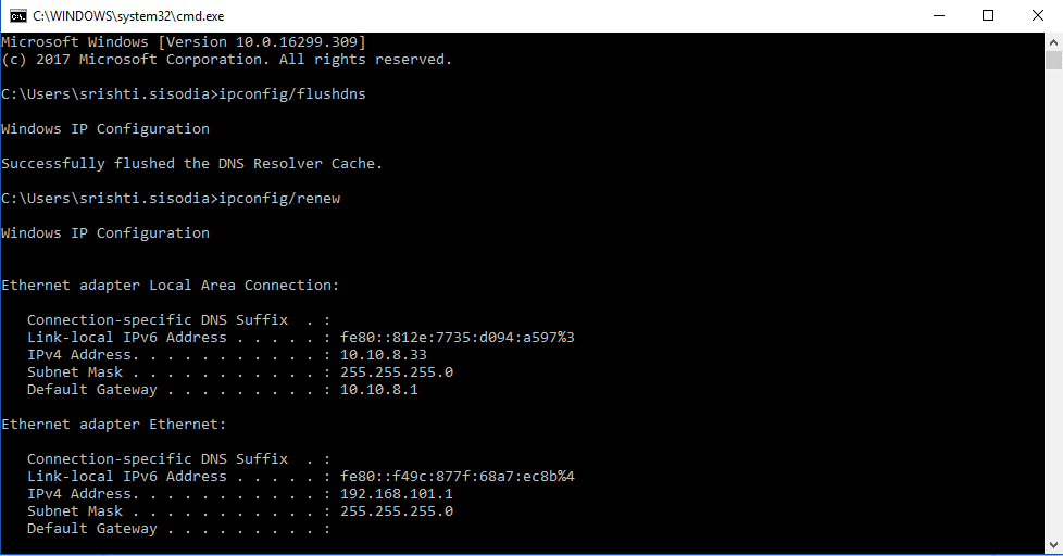 Renew and Flush The DNS