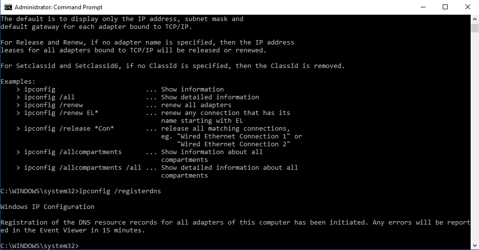 Renew and Flush The DNS