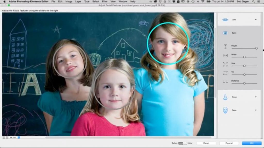 adobe-photoshop-premiere-elements15 photo organizer