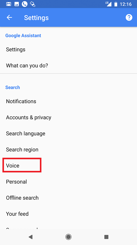 google voice settings
