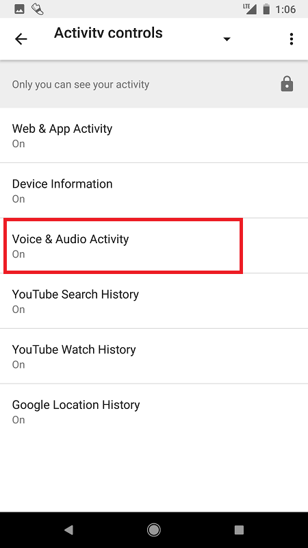 voice and audio in google