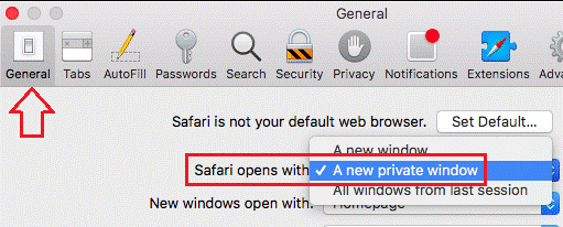 How To Automatically Start Browser in Incognito Mode for internet explorer for apple safari