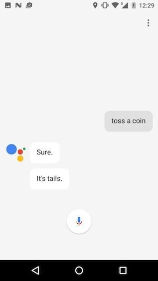 Flip a Coin
