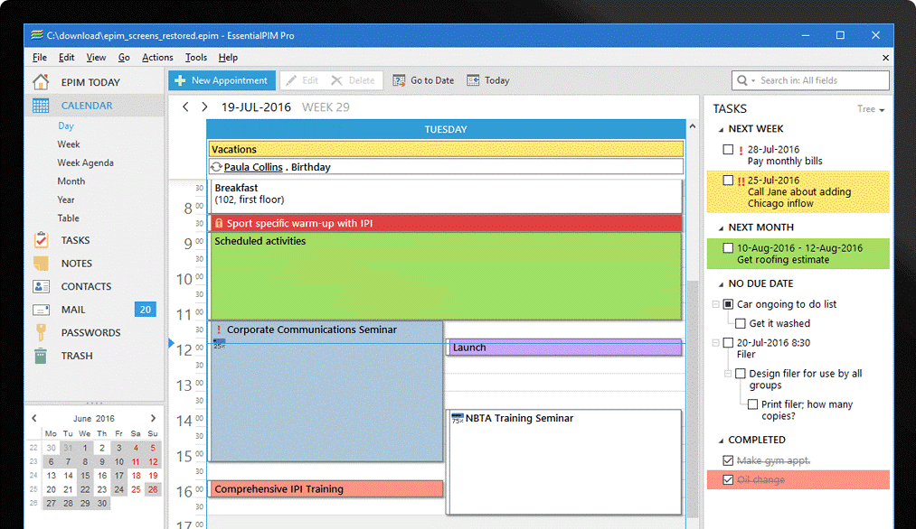 Task fields. ESSENTIALPIM. Pim программа. Лучший Pim.