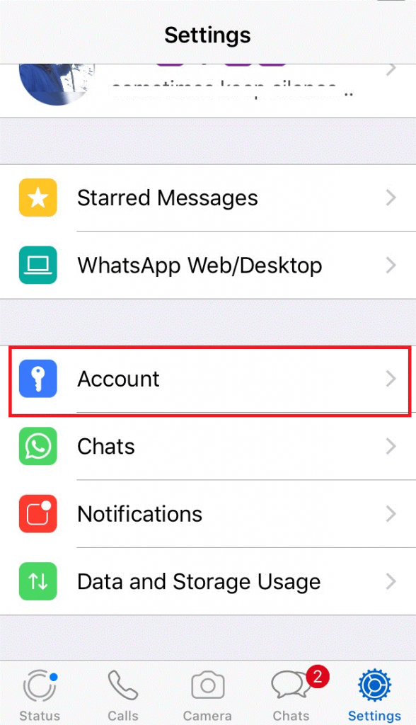 Download WhatsApp Account Information for iPhone-2