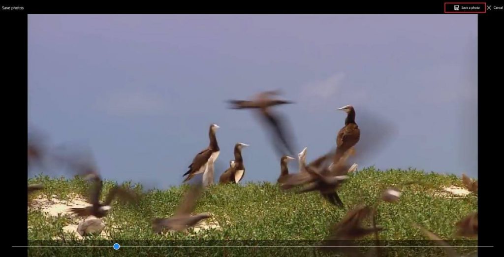 Select a Picture From a Video