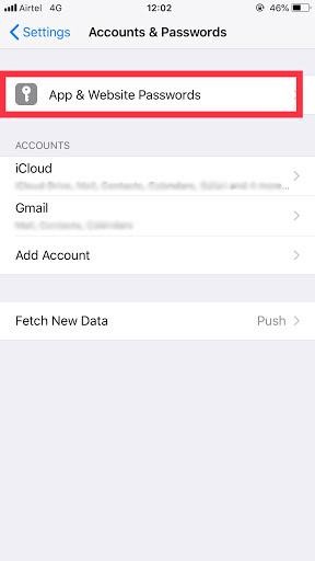Find Credit Cards And Saved Passwords In iPhone -2