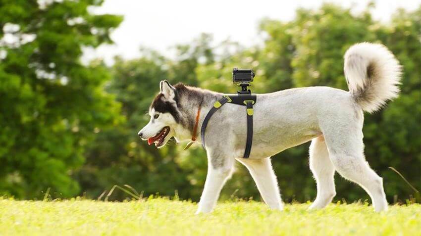 Sony Action Cam