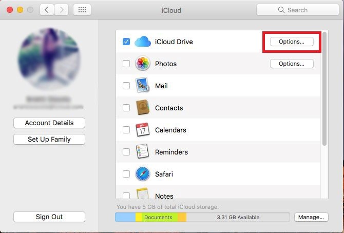 icloud options
