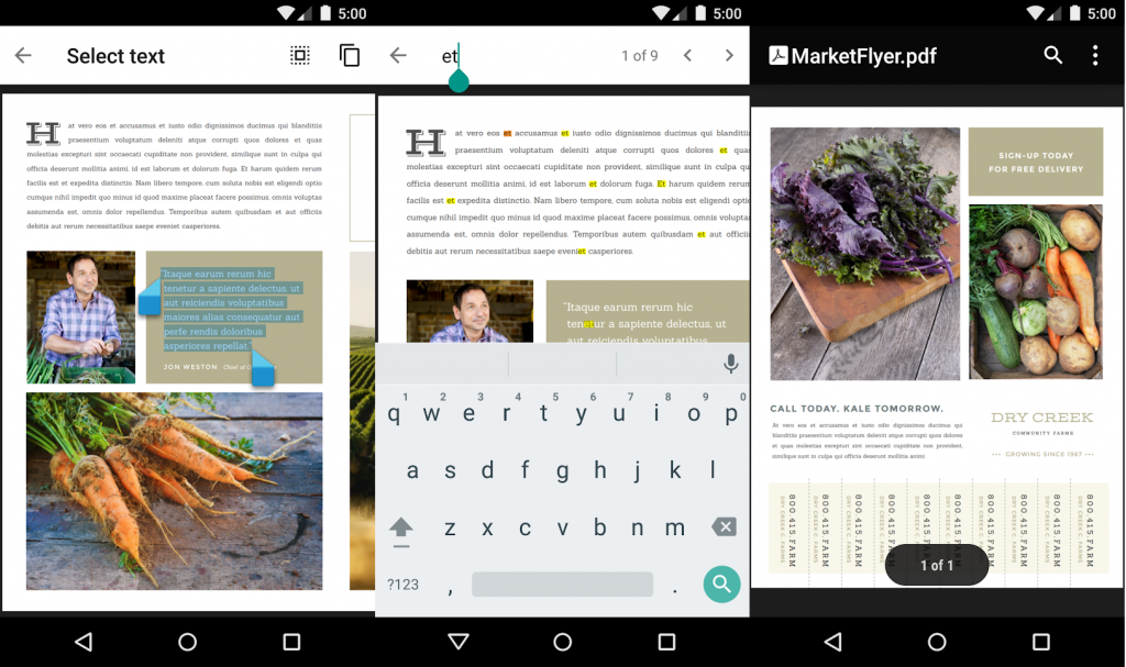 Google PDF Viewer
