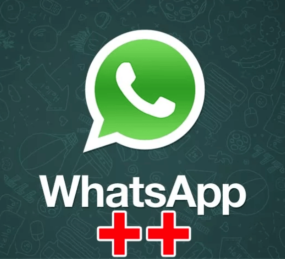 Download WhatsApp Status Videos On iPhone