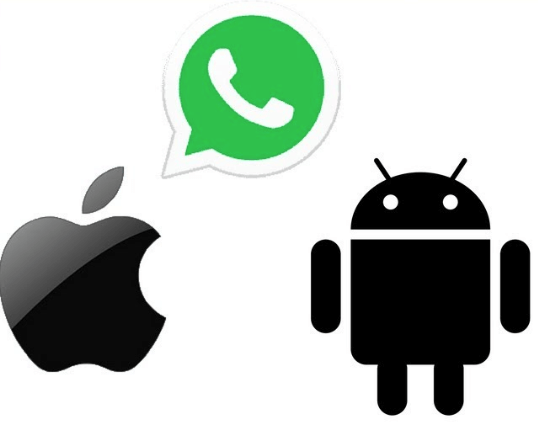 download whatsapp status