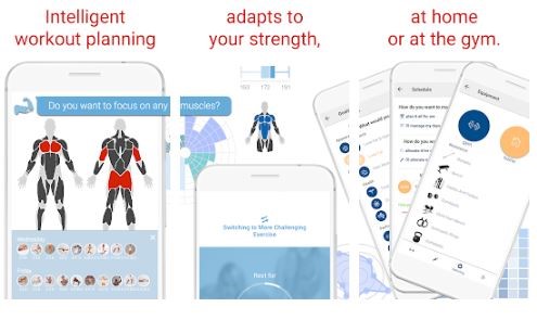 BodBot