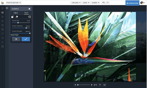 BeFunky - online image editor