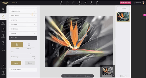 Fotor- editn pictures online