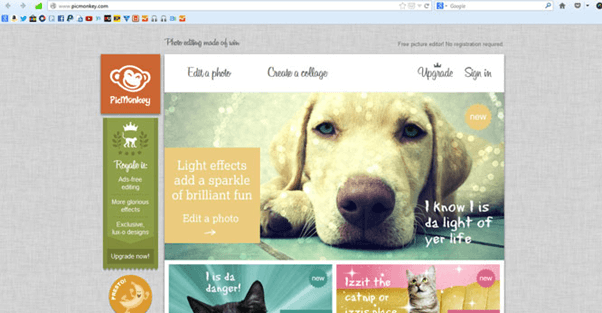 PicMonkey- edit images online