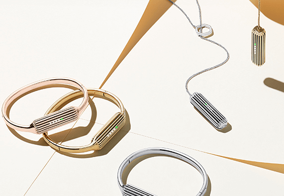 Fitbit Flex 2 Bangle