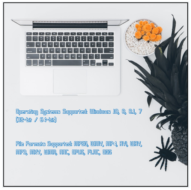 ashampoo supperted versions and file formats