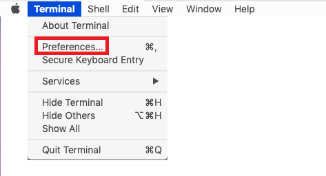 change the default shell Terminal