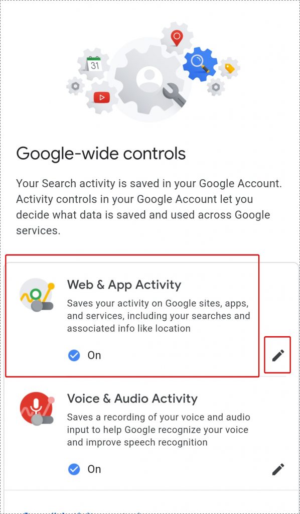 google controls