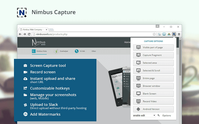 Website Snapshots