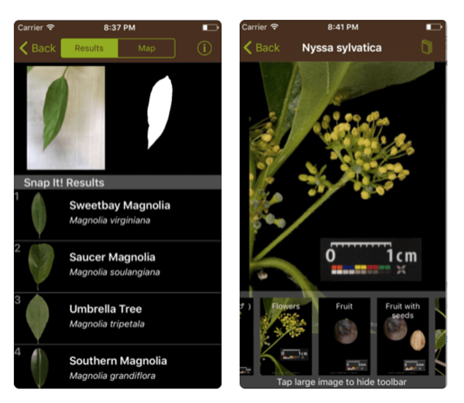 leafsnap