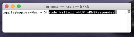 terminal
