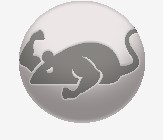 CatMouse