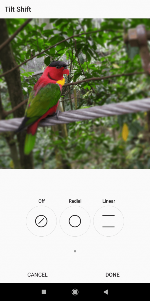 Instagram- apps to Blur Background