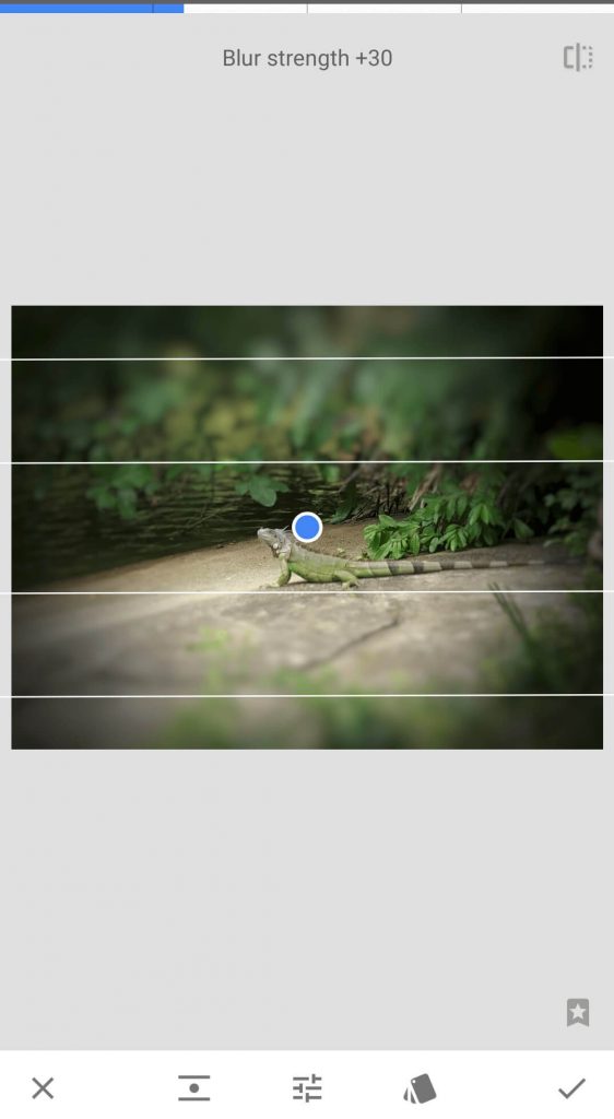 Snapseed Blur image background