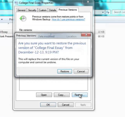 Recover Files That Were Replaced From The Previous Versions