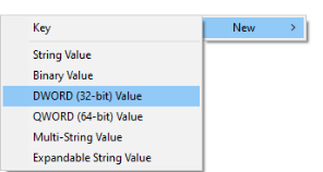 DWORD (32-bit) Value.