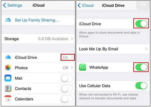 Create WhatsApp iCloud Backup