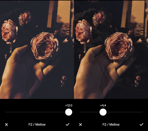 Ideal VSCO Filter For Floral