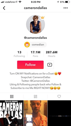 Make A Unique TikTok Profile