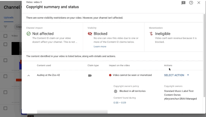 YouTube copyright claim 5