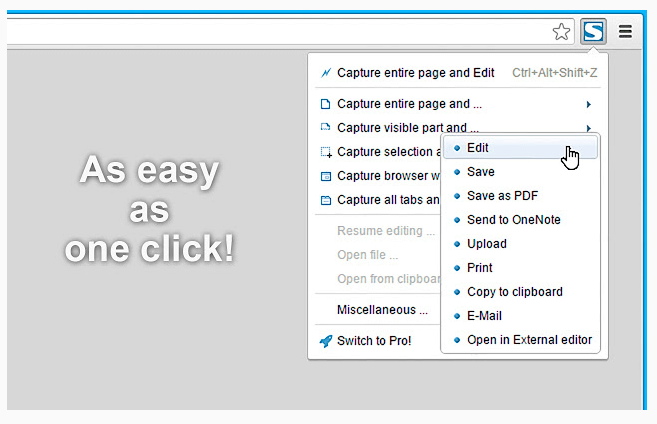 FireShot chromebook extension