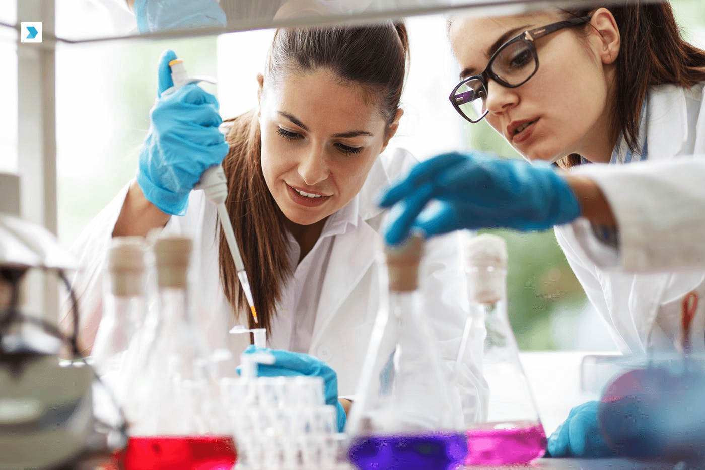 Pharmaceutical Industry