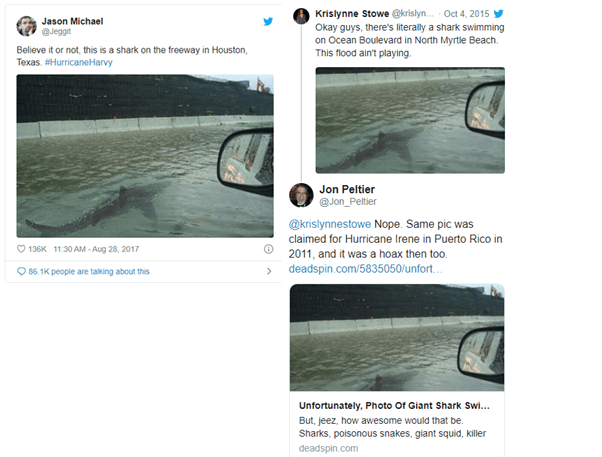 Stop Getting Fooled By Fake Images