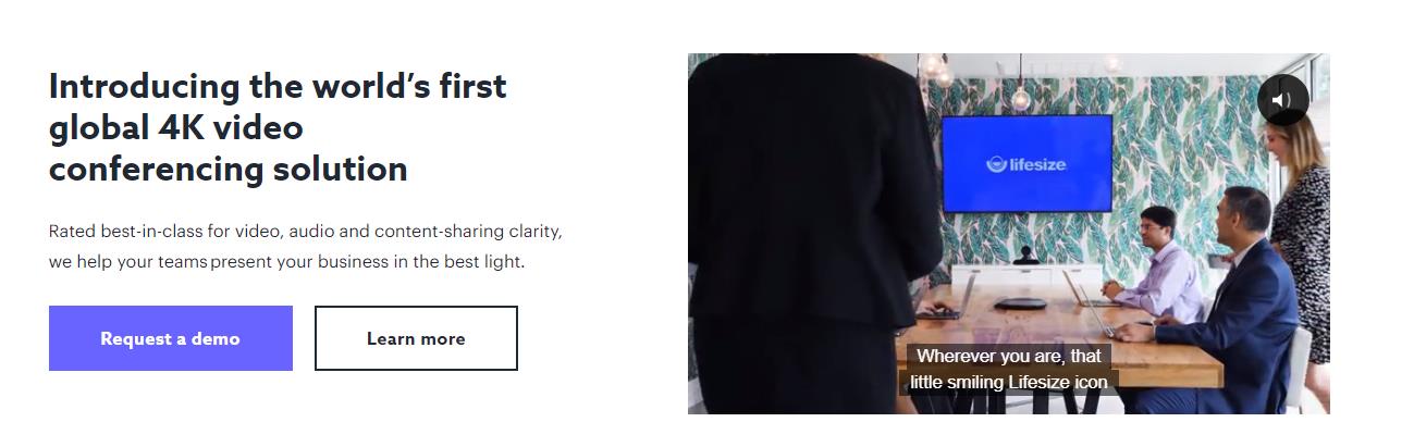 Best Online Meeting software LifeSize