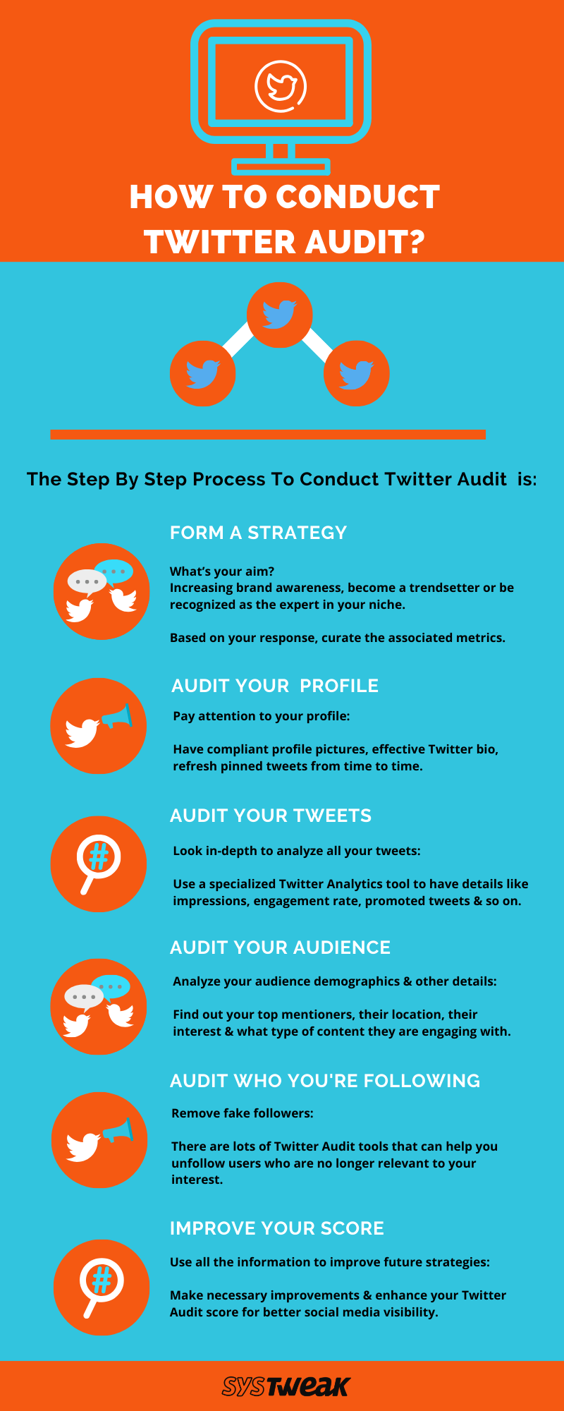 How Twitter Audit is Conducted