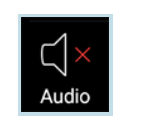 Activate The Speaker Settings