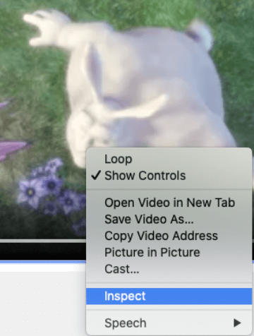 how to download embedded video