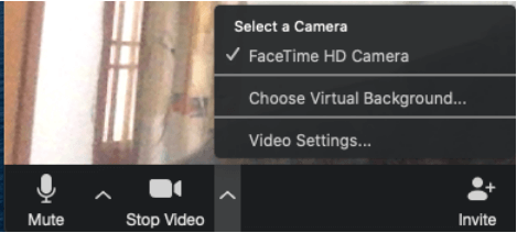 Zoom Camera Not Working
