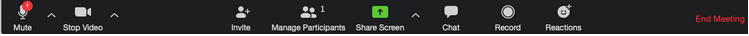 Share Screen With Zoom