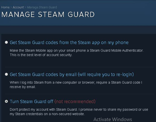Steam Guard Security