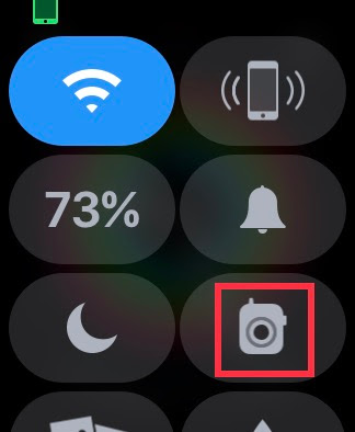 how to use walkie talkie on apple watch - grey icon