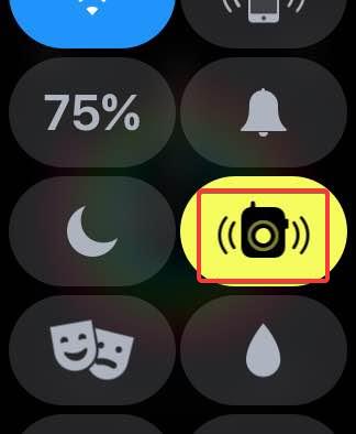how to use walkie talkie on apple watch - symbol